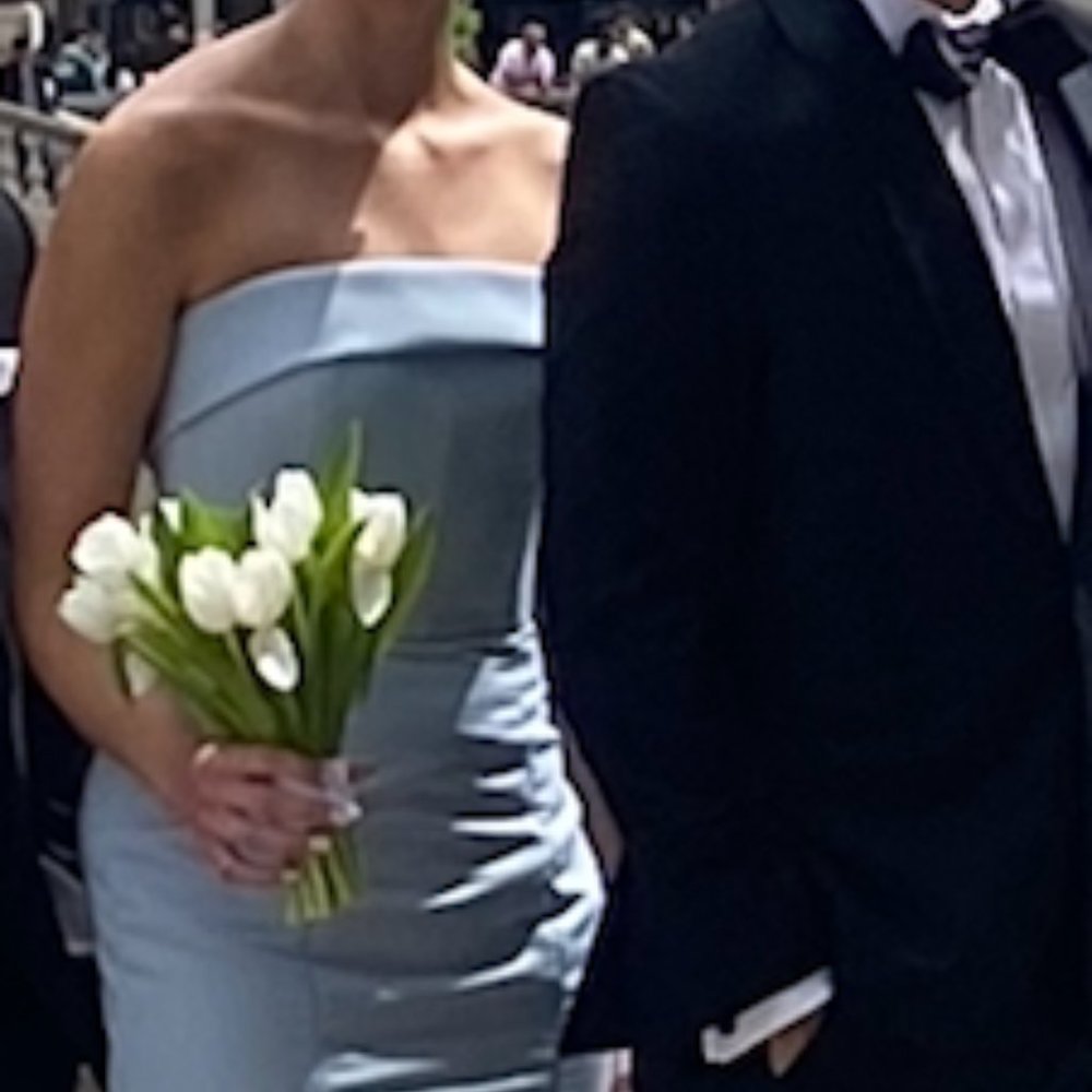 Amsale bridesmaid dress